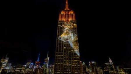Projecting Change: Empire State Building
