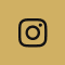 instagram social icon