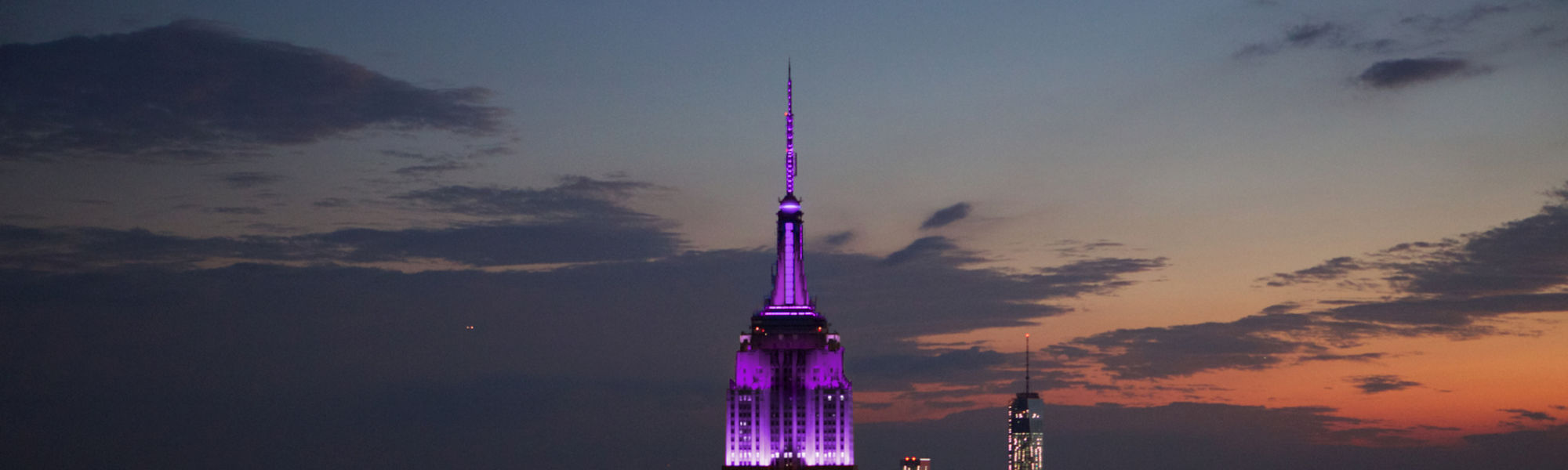 ESB Lit Up in Purple