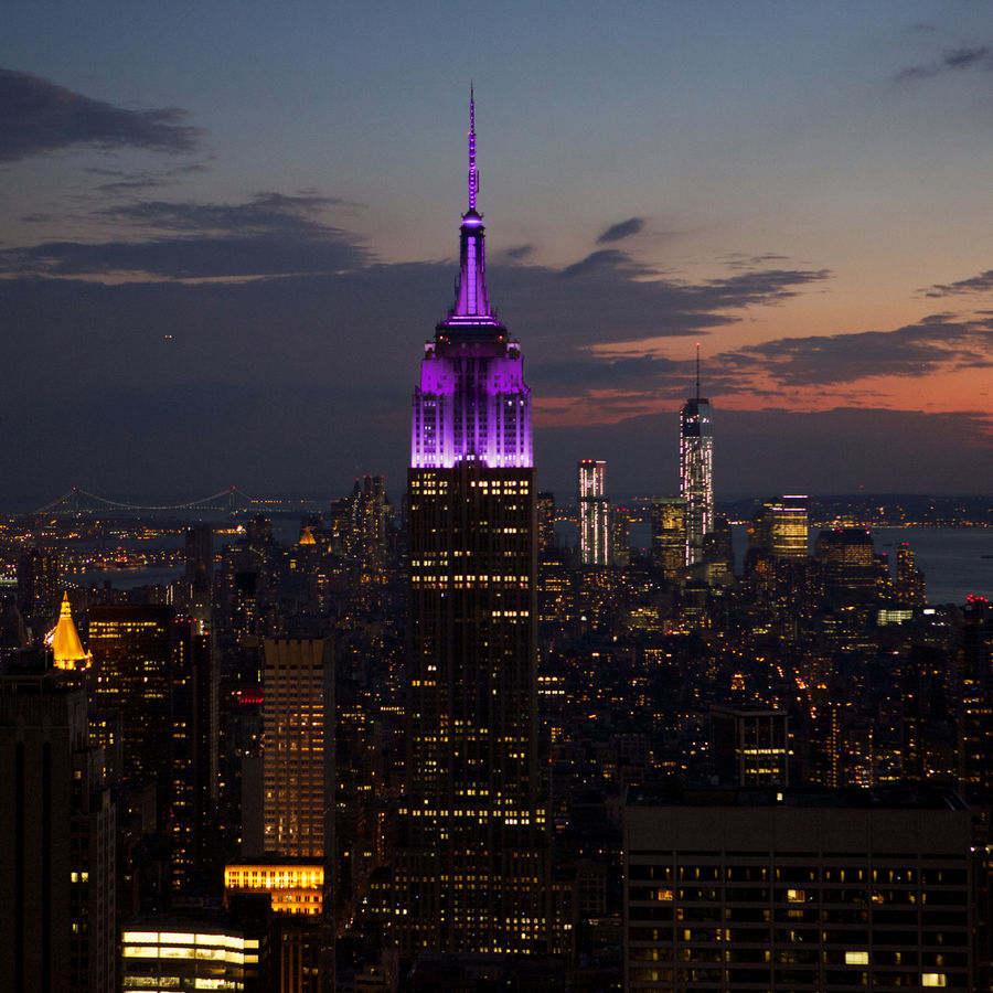 ESB Lit Up in Purple