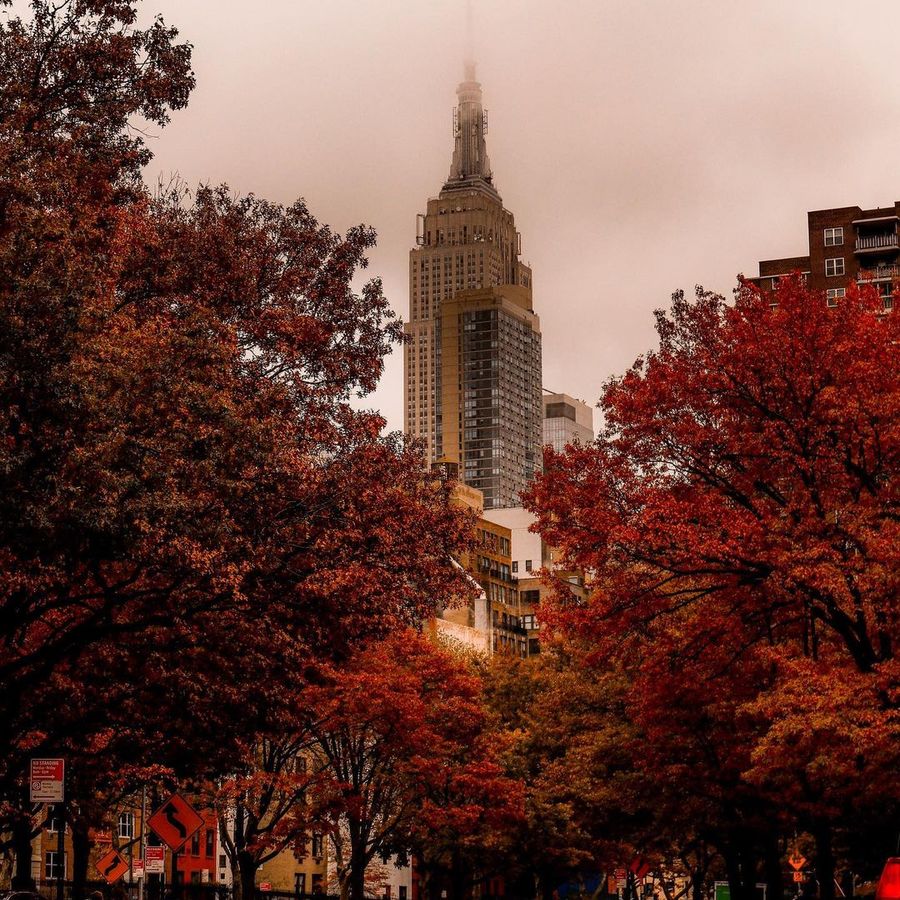 Discover the Perfect Fall Activities in NYC