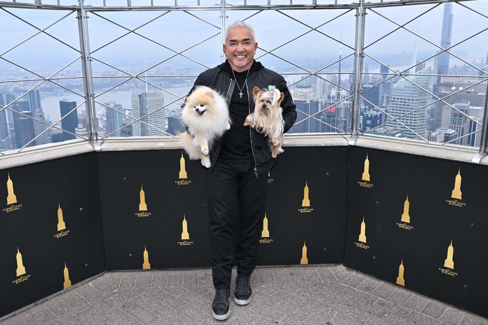 Cesar Millan on the 86th Floor Observatory