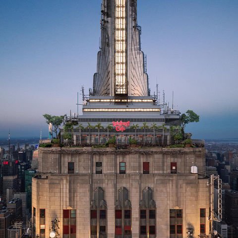 Rainforest Cafe se asocia con ESB para un restaurante temporal por tiempo limitado