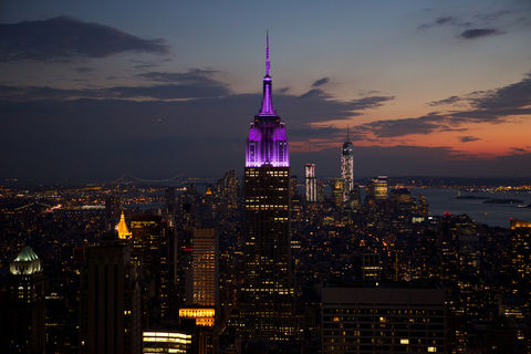 ESB Lit Up in Purple