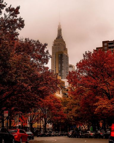 Discover the Perfect Fall Activities in NYC