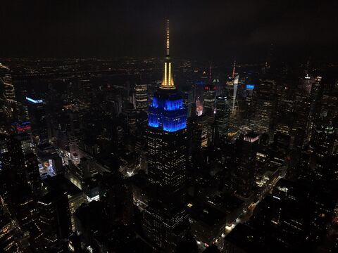 ESB lit in blue and yellow for "DOG MAN"